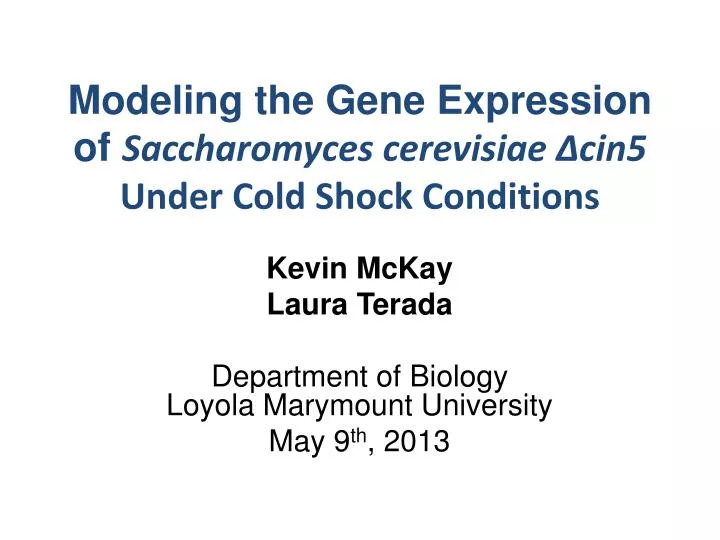 modeling the gene expression of saccharomyces cerevisiae cin5 under cold shock conditions