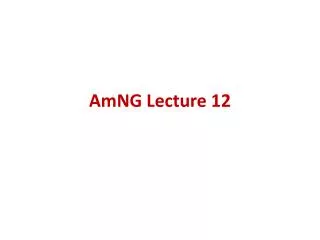 AmNG Lecture 12