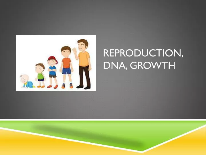 reproduction dna growth