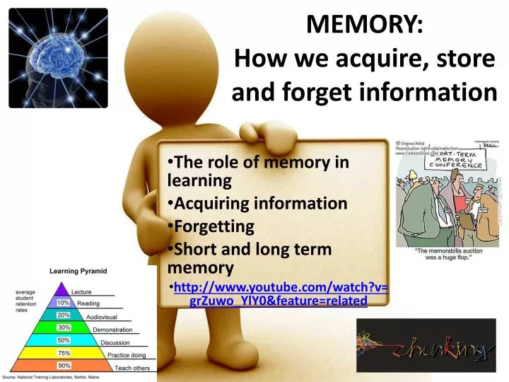 memory how we acquire store and forget information
