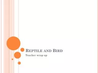 Reptile and Bird