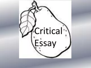 Critical Essay