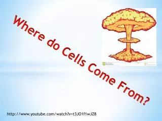 Wher e do Cells Come From?