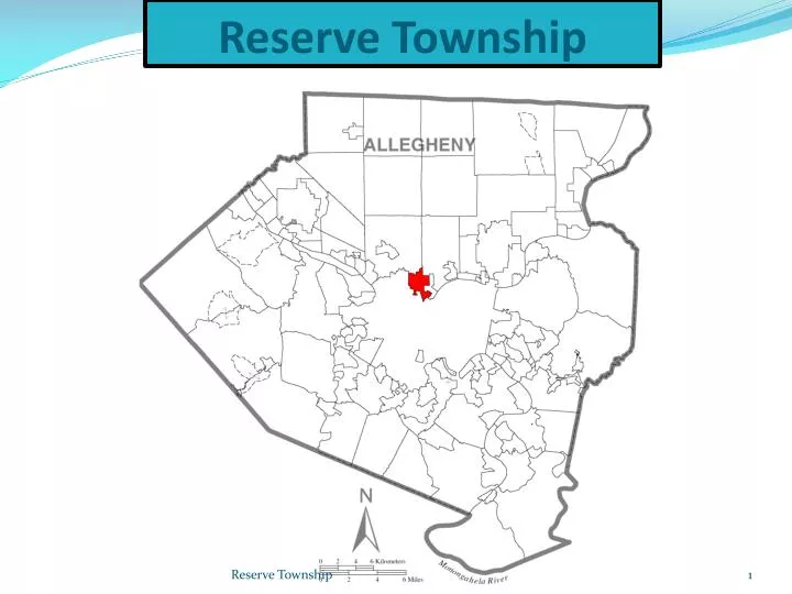 reserve township