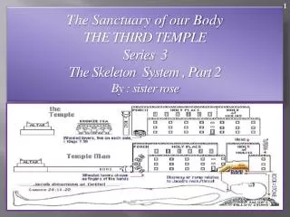 The Sanctuary of our Body THE THIRD TEMPLE Series 3 The Skeleton System , Part 2