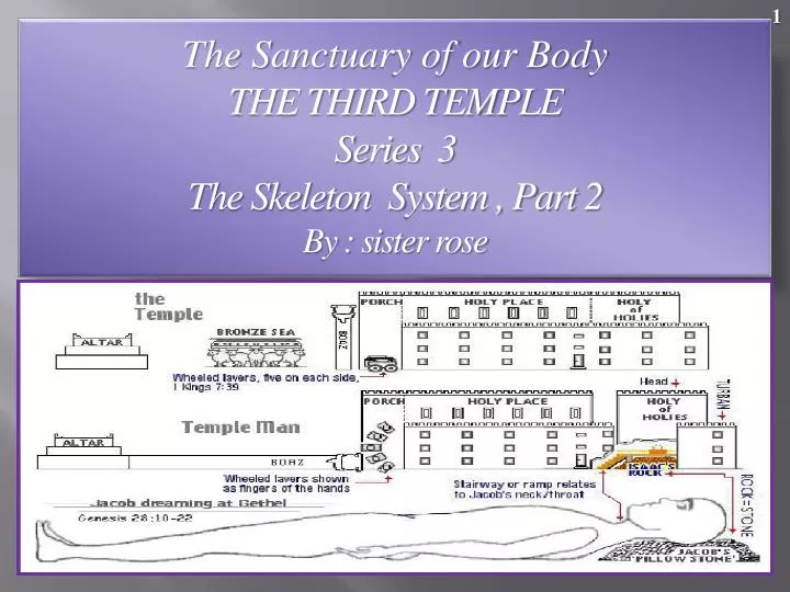 the sanctuary of our body the third temple series 3 the skeleton system part 2 by sister rose
