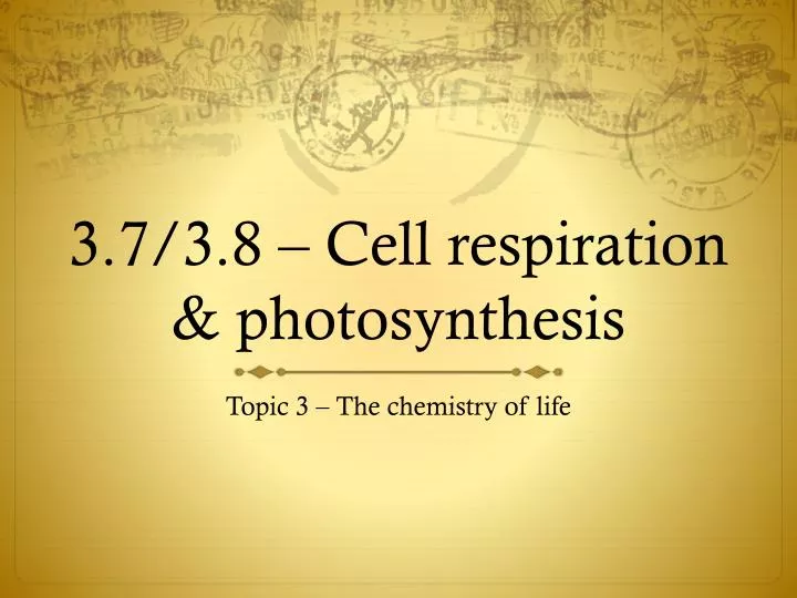 3 7 3 8 cell respiration photosynthesis