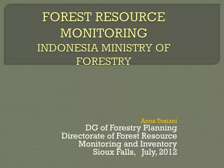 forest resource monitoring indonesia ministry of forestry