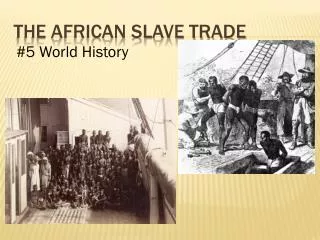 The African Slave trade