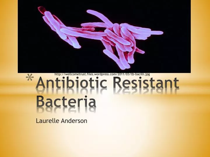 antibiotic r esistant bacteria