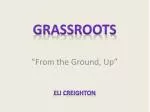 Understanding Grassroots Movements: Definitions, Examples, and Community Impact - slide 1