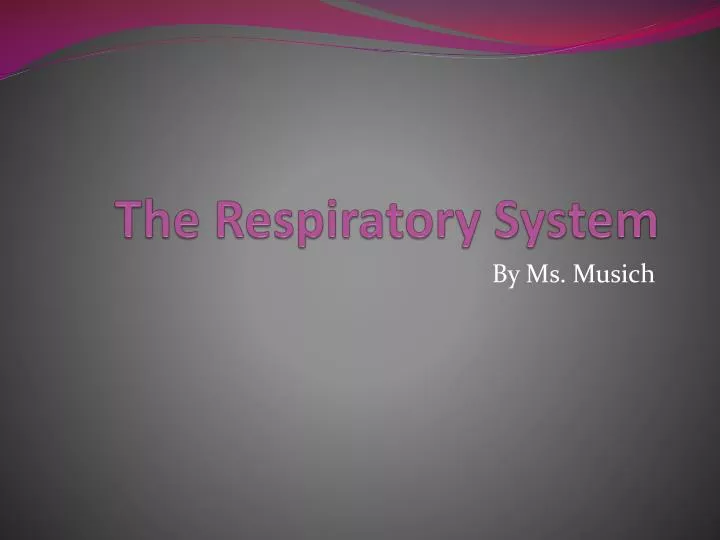 the respiratory system