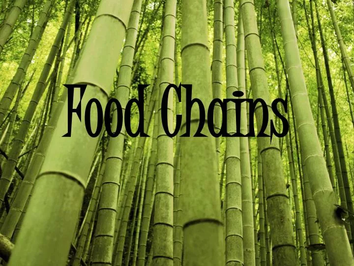 food chains