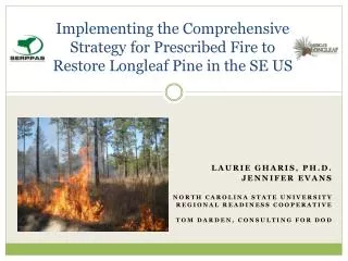 Implementing the Comprehensive Strategy for Prescribed Fire to Restore Longleaf Pine in the SE US