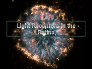 Light Receptors in the Retina