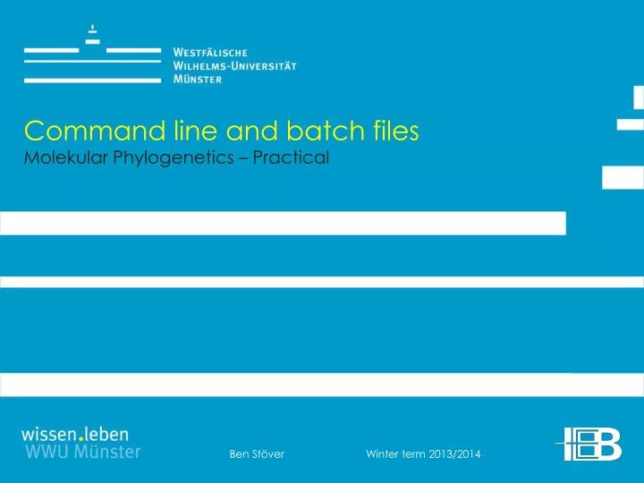 command line and batch files molekular phylogenetics practical