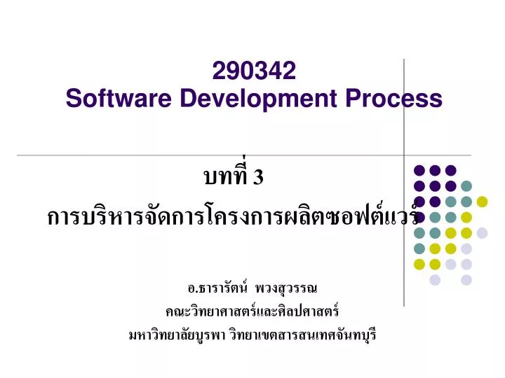 290342 software development process