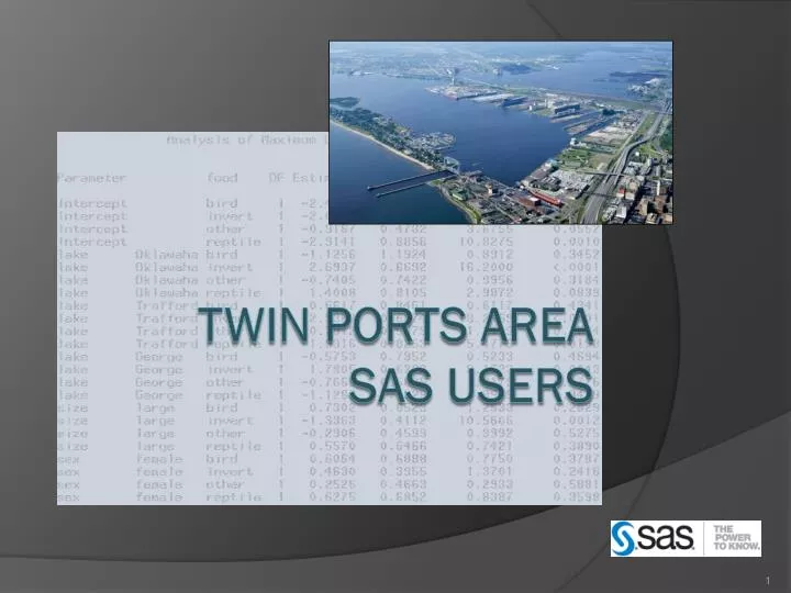 twin ports area sas users