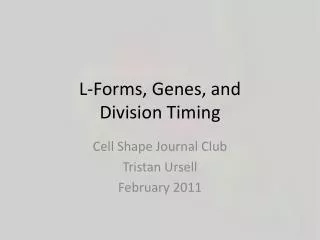 L-Forms, Genes, and Division Timing