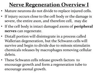 Nerve Regeneration Overview I