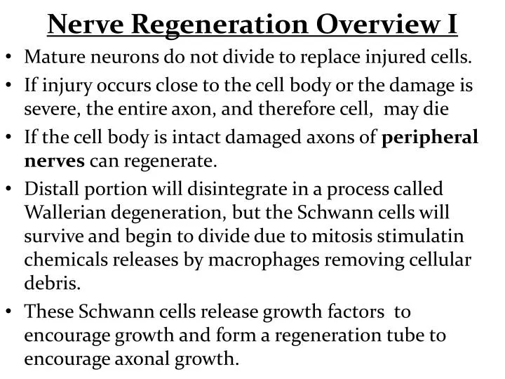 nerve regeneration overview i