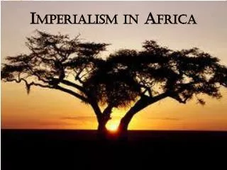 Imperialism in Africa