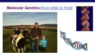 Molecular Genetics ( from DNA to Trait )