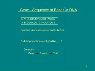 Gene - Sequence of Bases in DNA