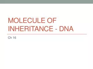 Molecule of Inheritance - DNA