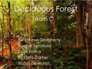 Deciduous Forest Team C