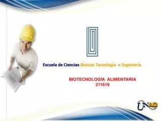 BIOTECNOLOGÍA ALIMENTARIA 211619