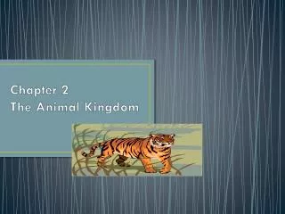 Chapter 2 The Animal Kingdom