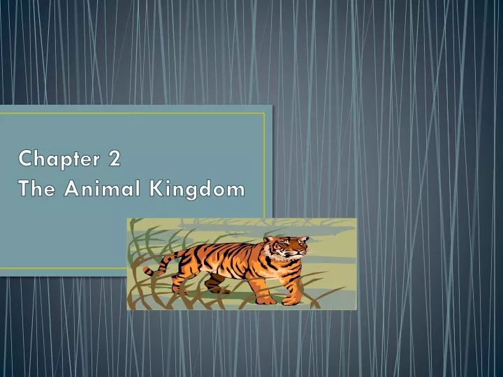 chapter 2 the animal kingdom