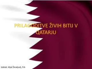 prilagoditve ivih bitij v qatarju