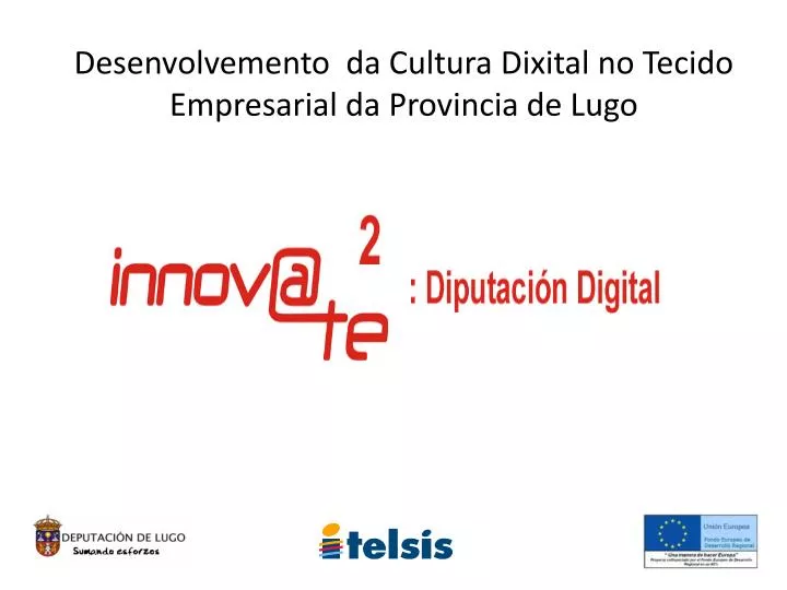 desenvolvemento da cultura dixital no tecido empresarial da provincia de lugo