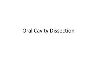 Oral Cavity Dissection