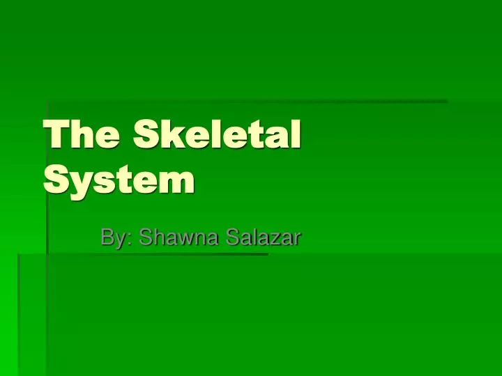 the skeletal system