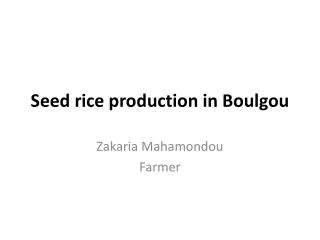 Seed rice production in Boulgou
