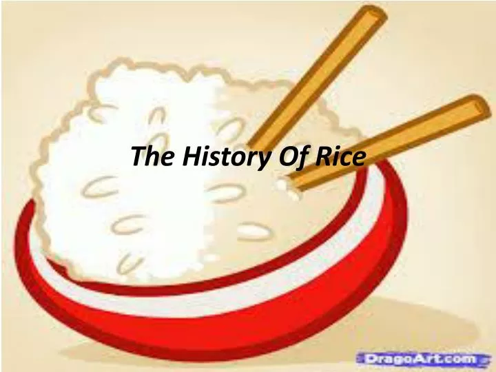 the history of rice