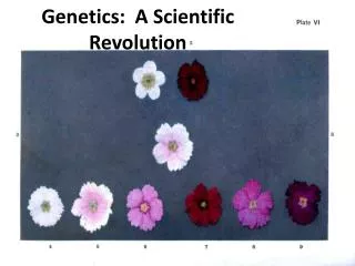 Genetics: A Scientific Revolution