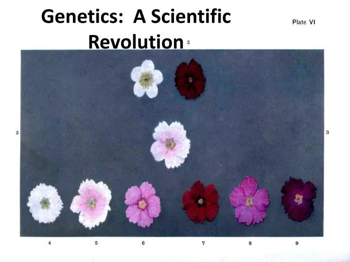 genetics a scientific revolution