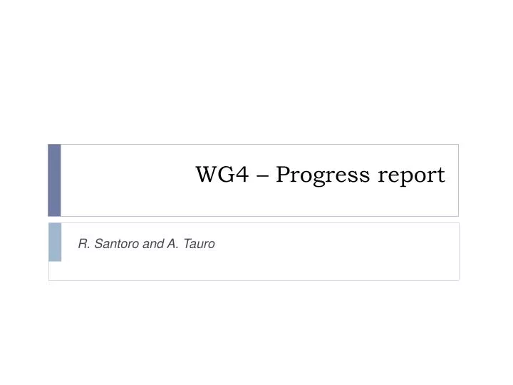 wg4 progress report