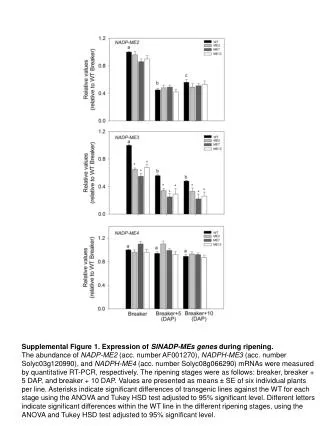 Supplemental Figure 1. Expression of SlNADP -MEs genes during ripening.