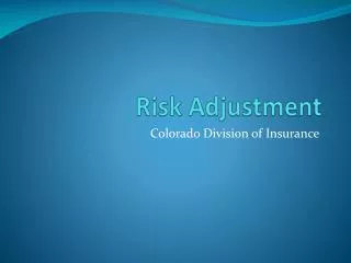 Risk Adjustment