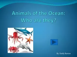 Animals of the Ocean: Who are they?