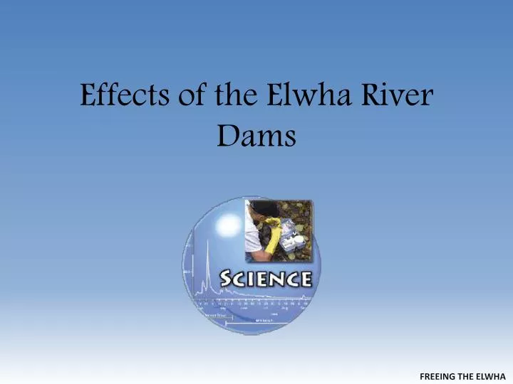 effects of the elwha river dams