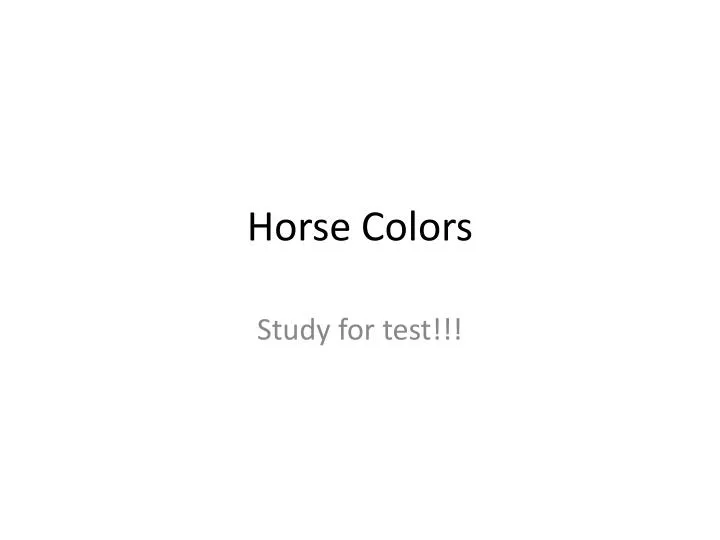 horse colors
