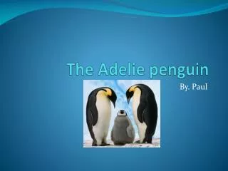 The Adelie penguin