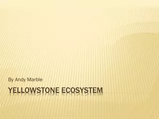 Yellowstone Ecosystem