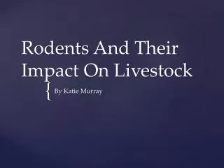 Rodents A nd Their Impact On Livestock